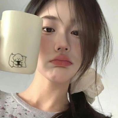 总统班底
